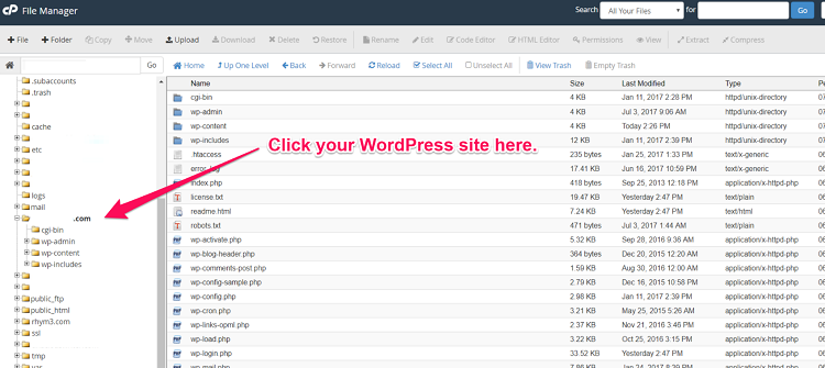 WordPress-site-folder-750x335.png