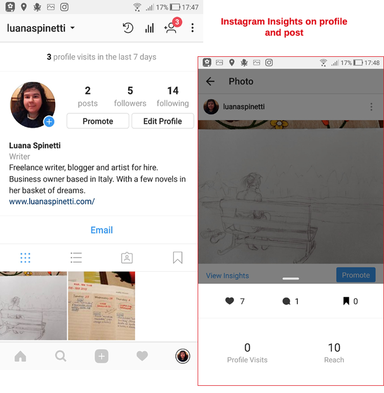 instagram insights on profile