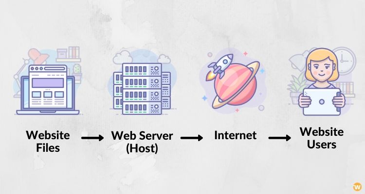 How web host works