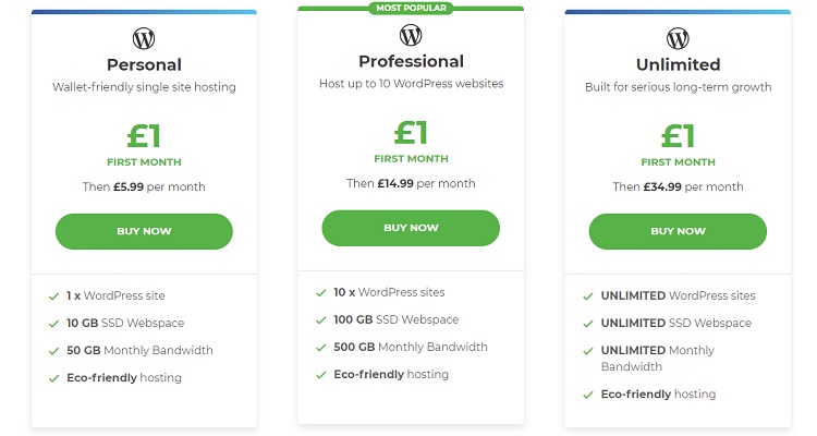 20i WordPress hosting plan