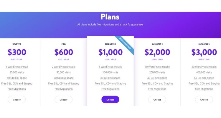 Kinsta hosting plan and pricing
