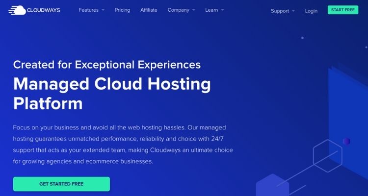 Cloudways Business Hosting
