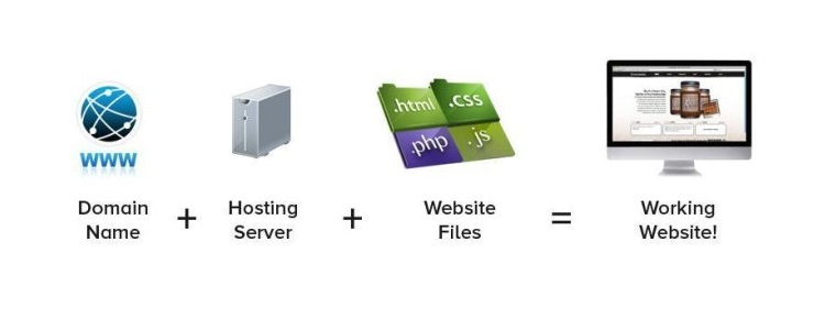 This is how a website works!